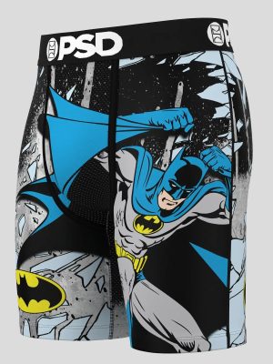 DC - Batman Shatter