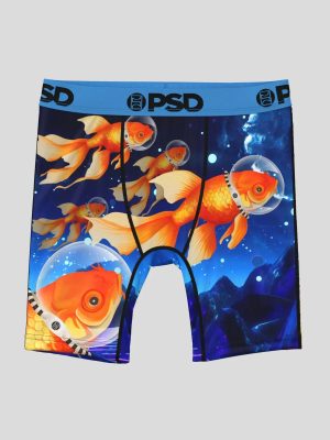 Dream Swim